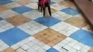 خيال جنسي بالجوارب – مشهد إباحي عالي الدقة