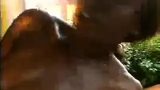 بينيك جامد من طزها