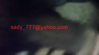 الديك الأسود العربي