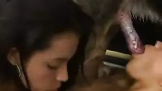 سكس نيك بنات ما حيوانات